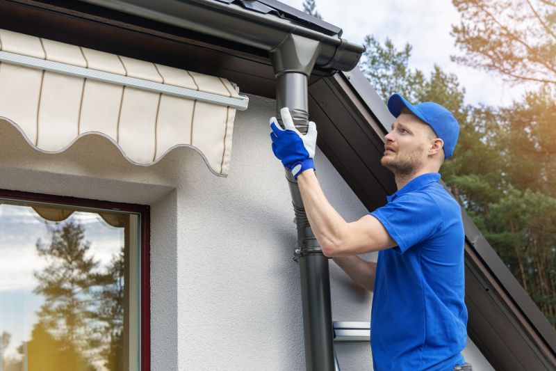 Rain Gutter Maintenance