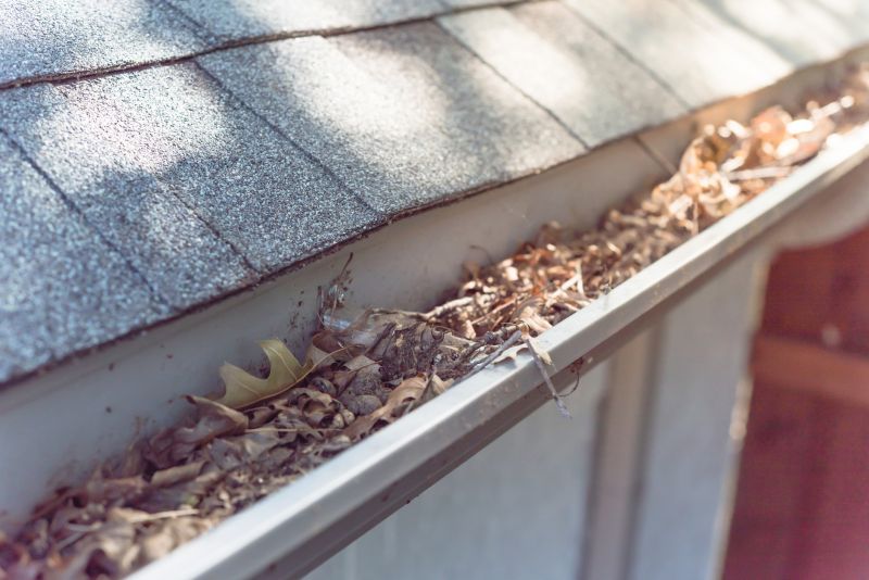 Roof Gutter Debris Removal