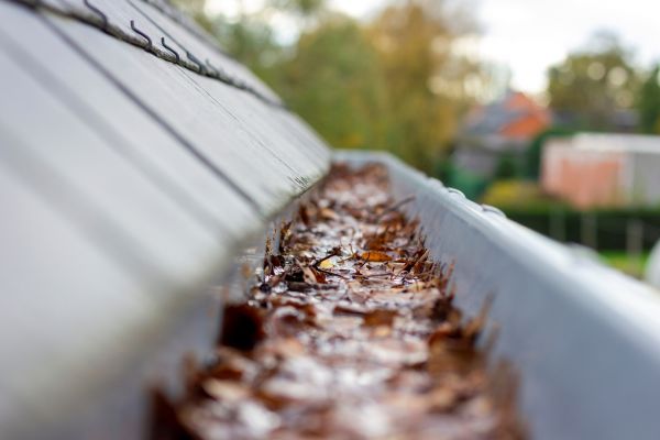 Commercial Gutter Cleaning in Chico