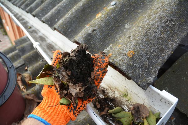 Seamless Gutter Cleaning in Chico