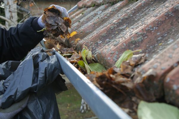 Commercial Gutter Unclogging in Chico