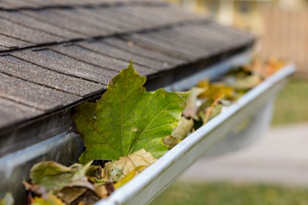 Commercial Downspout Cleaning in Chico