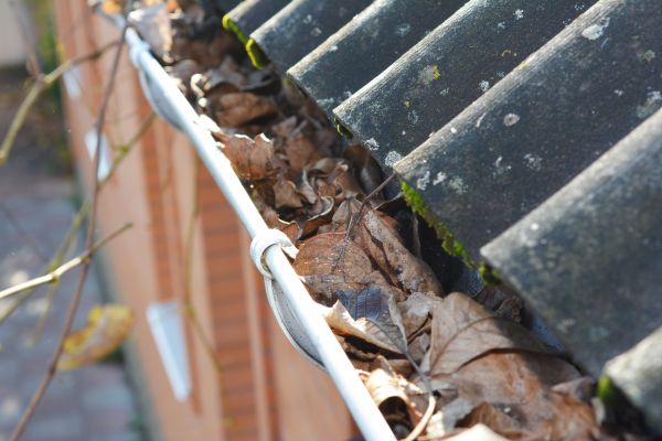 Home Gutter Cleaning in Chico