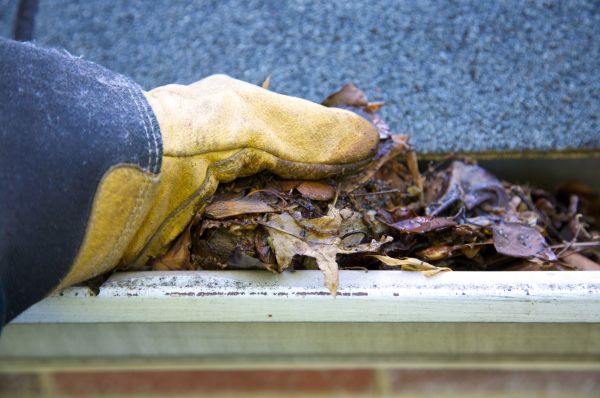 Jammed Gutter Cleaning in Chico