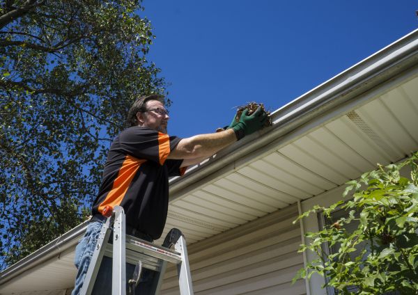 Eavestrough Clearing in Chico