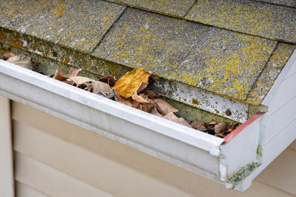 Garage Gutter Cleaning in Chico